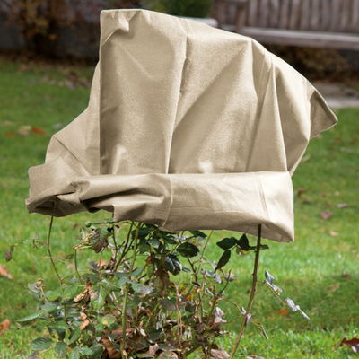 Kölles Beste Rosenschutz-Haube, beige, B75 x H80 cm, 2er-Pack Kölles Beste Rosenschutz-Haube, beige, B75 x H80 cm, 2er-Pack