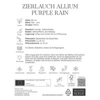 Kölles Beste Zierlauch 'Purple Rain®', lila, 5 Blumenzwiebeln Kölles Beste Zierlauch 'Purple Rain®', lila, 5 Blumenzwiebeln