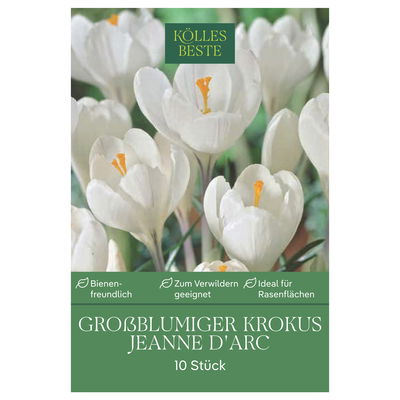 XXL Großblumige Krokusse Jeanne d' Arc weiß, 10 Blumenzwiebeln XXL Großblumige Krokusse Jeanne d' Arc weiß, 10 Blumenzwiebeln