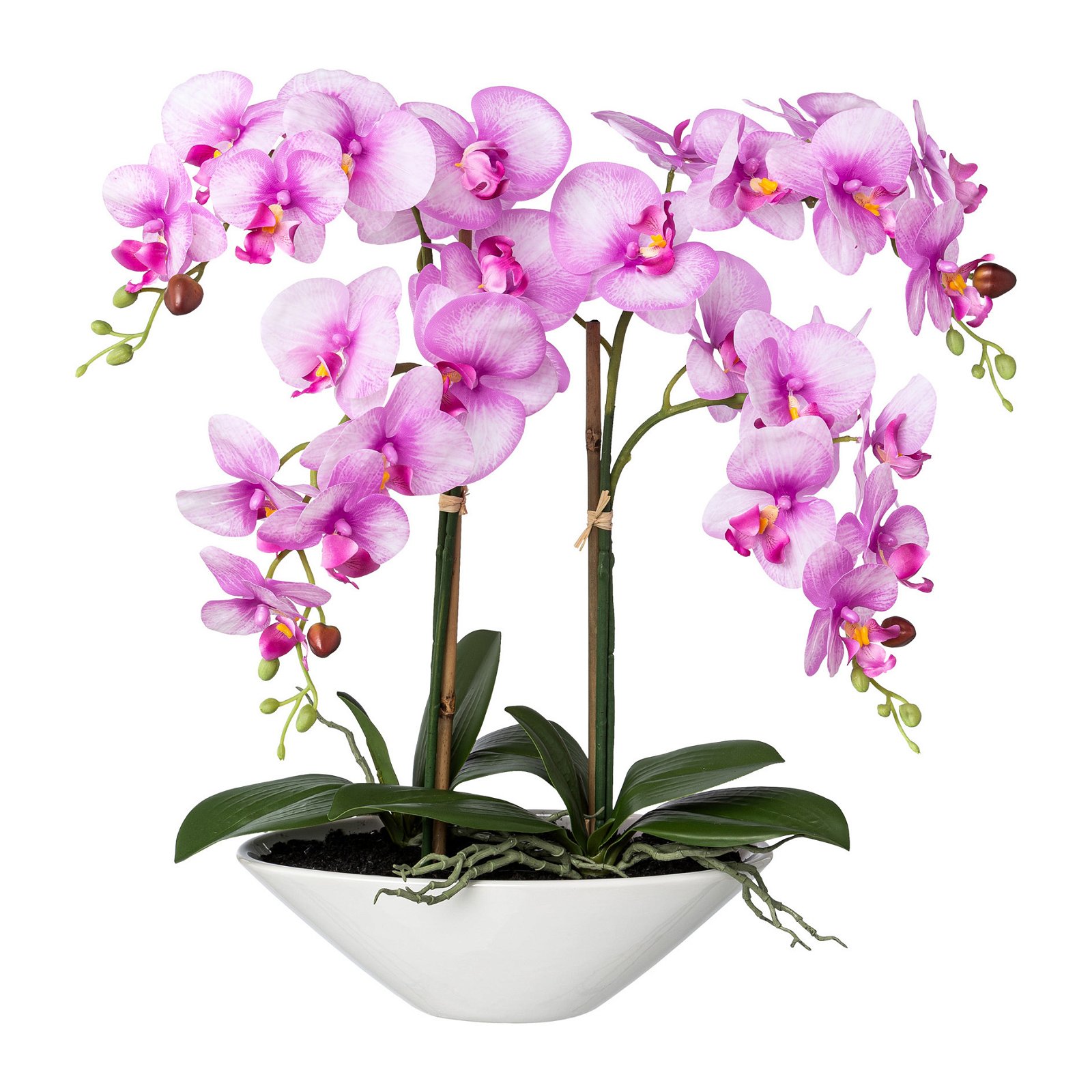 Kunstpflanze Phalaenopsis 'Real Touch', orchidee, Höhe ca. 53 cm