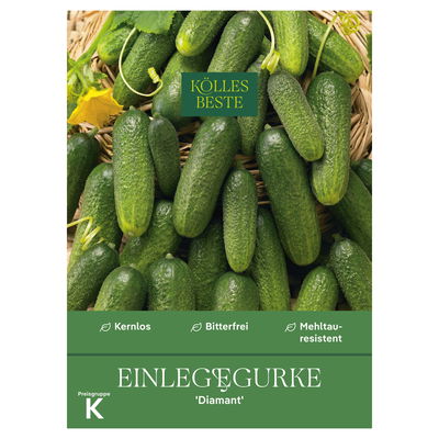 Kölles Beste Gemüsesamen, Einlegegurke 