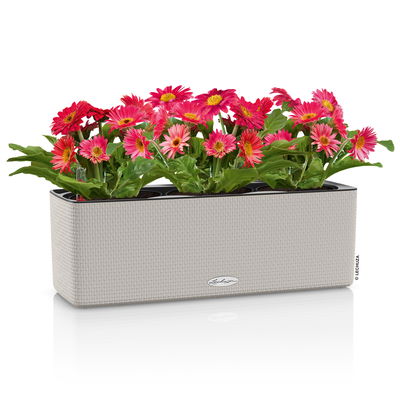 Lechuza 'Cube Color Triple', sandbraun, ca. 40 x 14 x H 13,5 cm