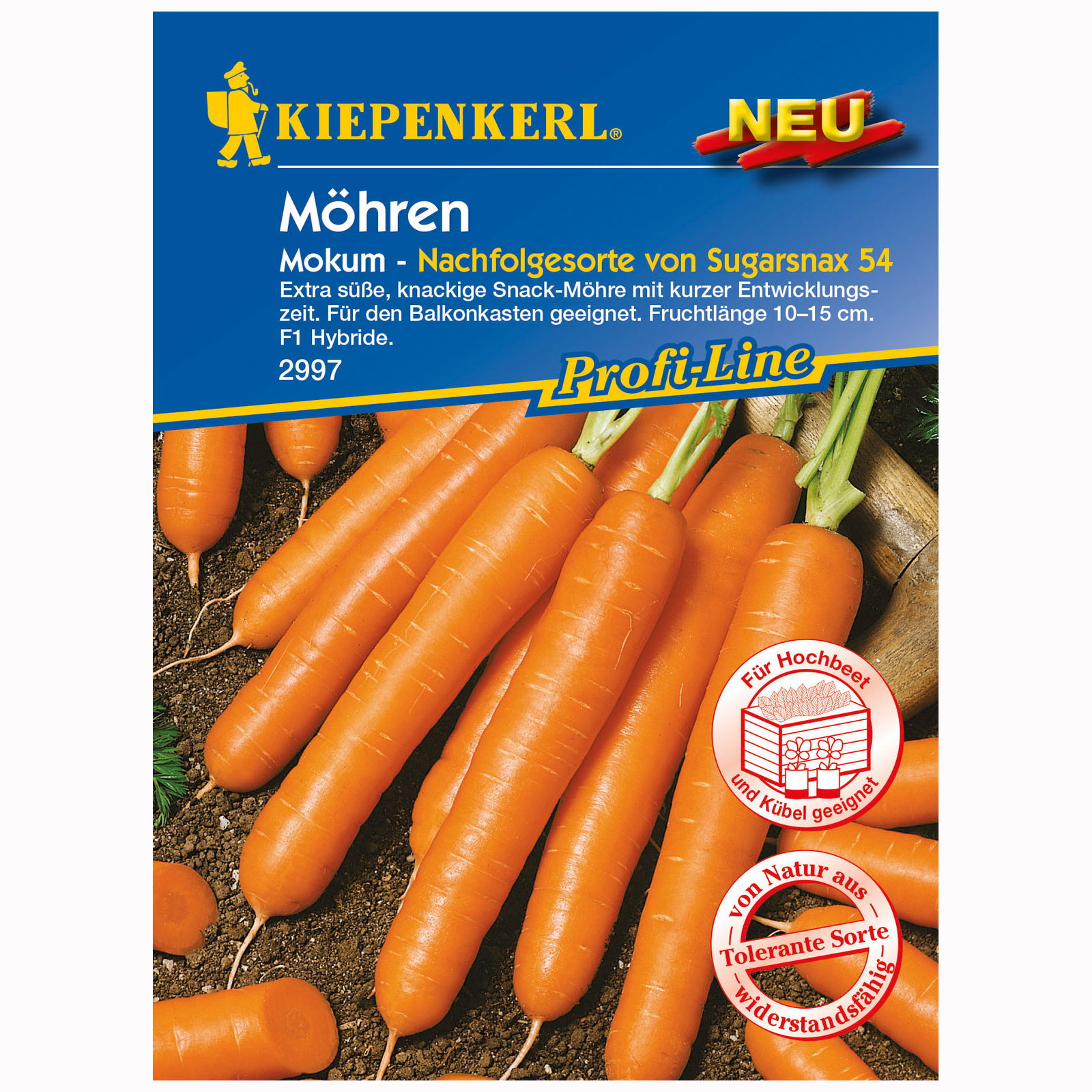 Möhre 'Mokum', orange