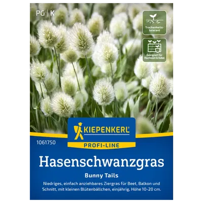 Kiepenkerl Saatgut Hasenschwanzgras 'Bunny Tails'