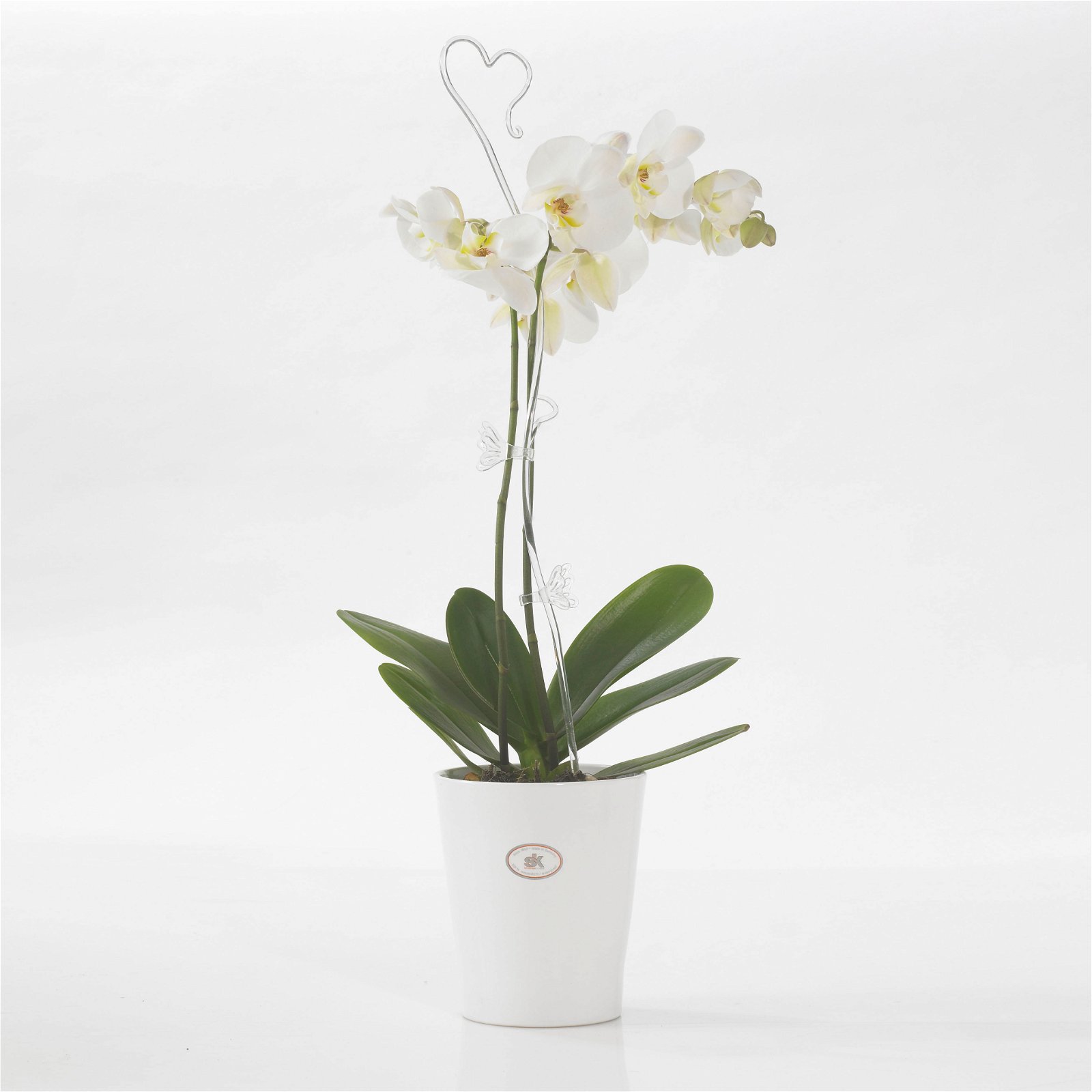 Orchideentopf aus Keramik, robust, klassische Form
