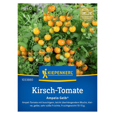 Saatgut Kirschtomate 'Ampelo Gelb' Saatgut Kirschtomate 'Ampelo Gelb'