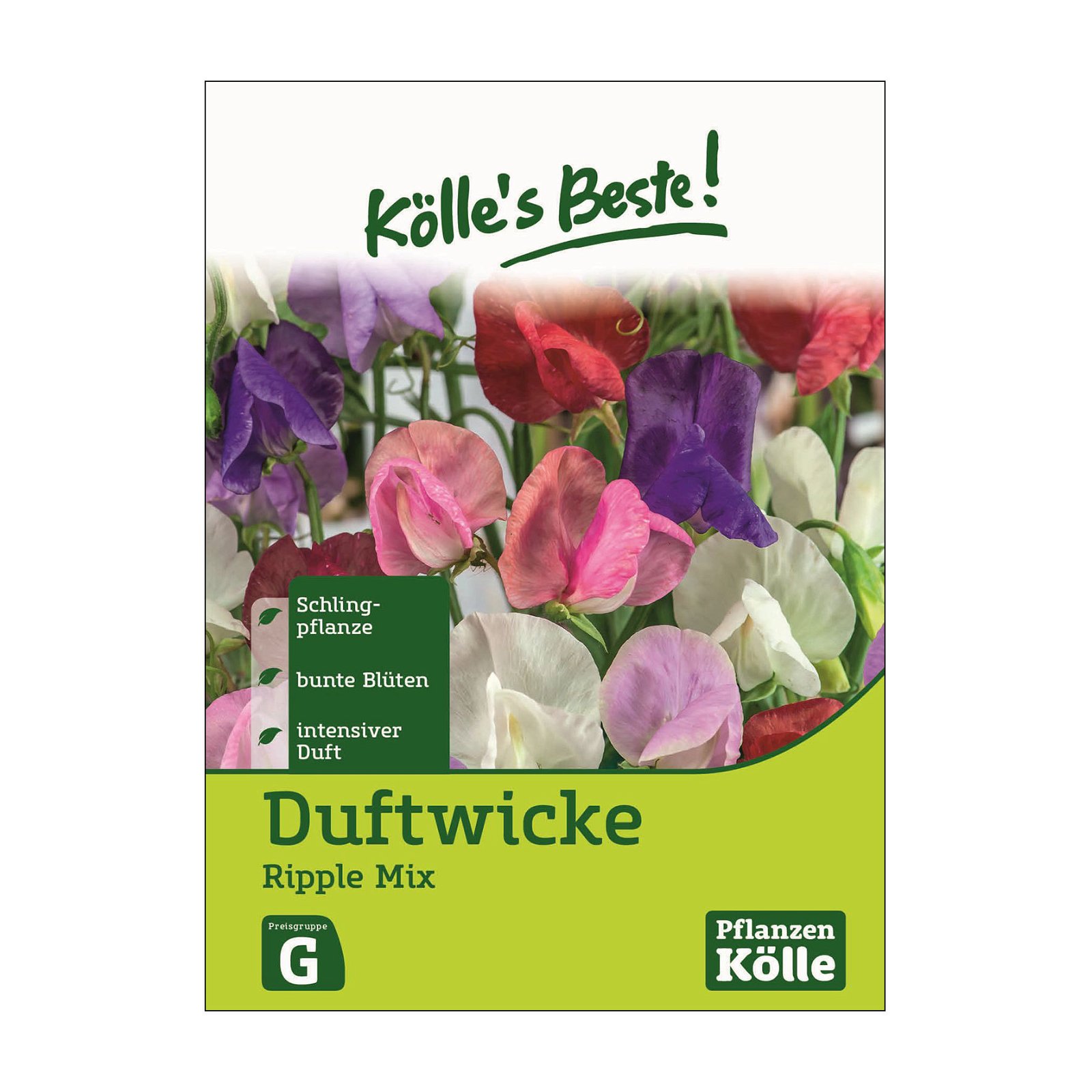 Blumensamen, Duftwicke 'Ripple Mix'