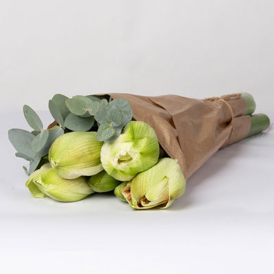 Schnittblumen-Mix aus 3 weiß gefüllten Amaryllis & 3 Eukalyptus