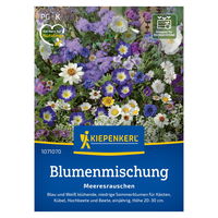 Blumensamen, Blumenmischung 'Meeresrauschen', blau & weiß