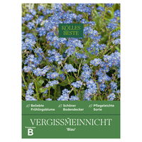 Kölles Beste Blumensamen, Vergissmeinnicht 'Blau' Kölles Beste Blumensamen, Vergissmeinnicht 'Blau'
