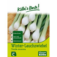 Kölle's Beste Gemüsesamen Winterlauch-Zwiebel 