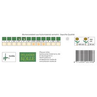 Kölles Beste Blumenknolle, Dekorative Dahlien 'Bright Diamond'