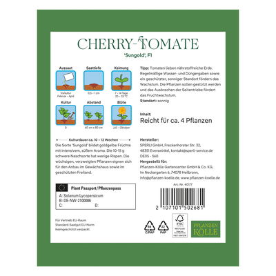 Kölles Beste Saatgut Cherrytomate 'Sungold', gelb