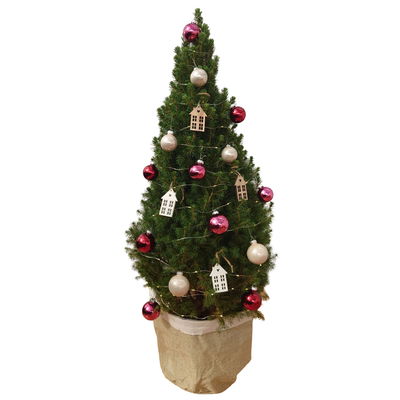 Weihnachtsbäumchen inkl. Deko, beere-rot, Höhe ca. 80 cm, Topf-Ø 25 cm