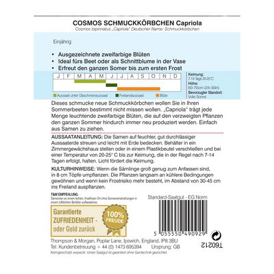 Cosmos Capriola / einjährig, pflegeleicht, ideal fürs Beet Cosmos Capriola / einjährig, pflegeleicht, ideal fürs Beet