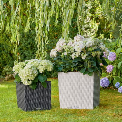 Lechuza 'Cube Cottage 30', granit, ca. 29,5 x 29,5 x H 30 cm