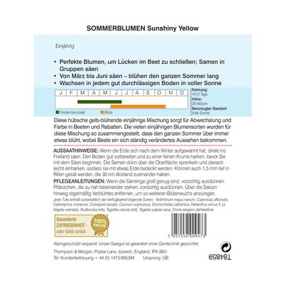 Sommerblumen-Mischung „Sunshiny Yellow“ (Helianthus annuus) Sommerblumen-Mischung „Sunshiny Yellow“ (Helianthus annuus)