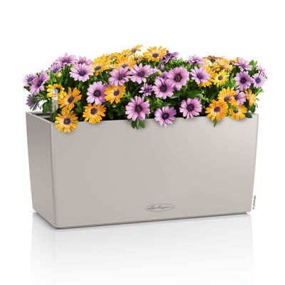 Lechuza 'Balconera Color 40', sandbraun, ca. 40 x 19 x H 19 cm