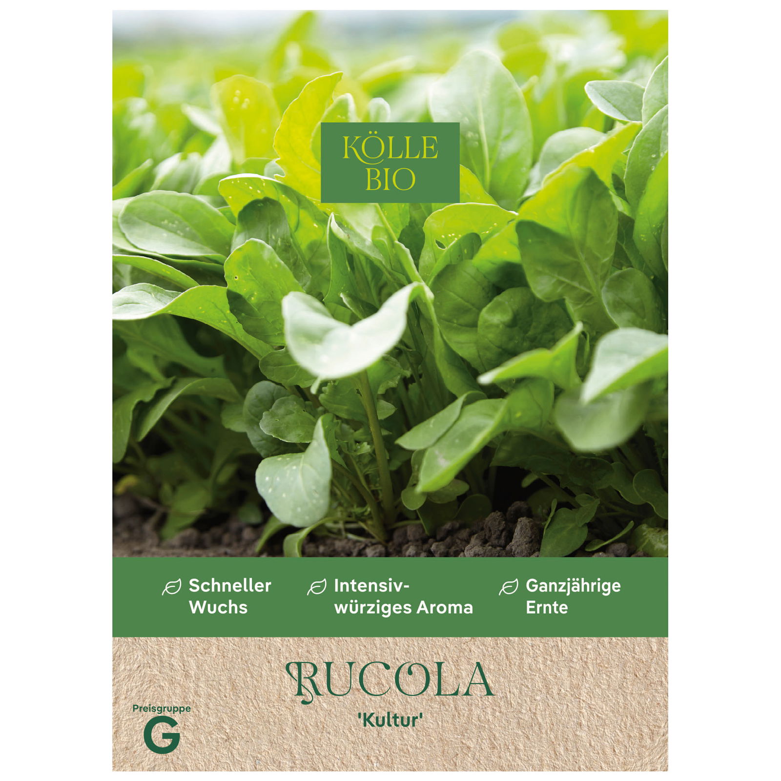 Kölle Bio Kräutersamen, Rucola 'Kultur'