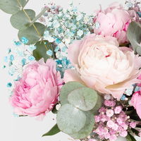 Bunter Schnittblumen-Mix aus Pfingstrosen, Eukalyptus & Schleierkraut