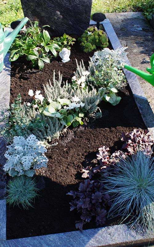 Grabbepflanzung Herbst - Ideen & Tipps