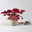 Bio Purpurglöckchen 'Boysenberry', rotlaubig, Topf-Ø 12 cm, 3 Pflanzen