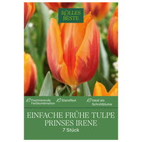 Einfache frühe Tulpen Prinses Irene, orange/rot geflammt, 7 Blumenzwiebeln