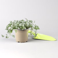 Pflanzenkreation 'Pflegeleicht', 12 Pflanzen inkl. Erde und Dünger