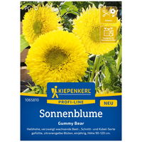 Kiepenkerl Saatgut Sonnenblume 'Gummi Bear'