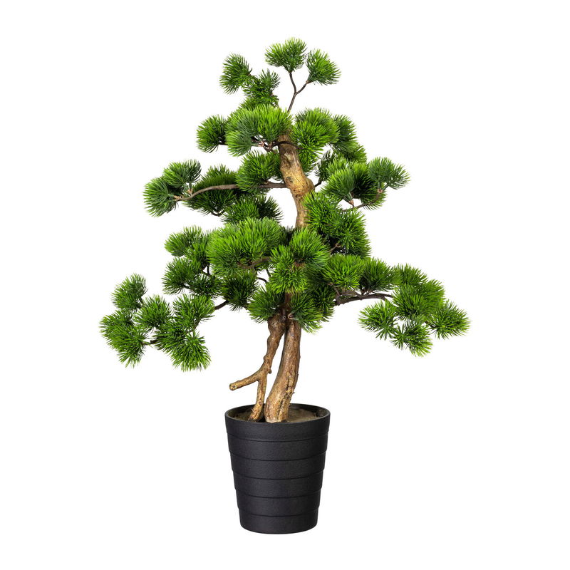 Kunstpflanze Bonsai Kiefer, Höhe ca. 60 cm online kaufen PflanzenKölle
