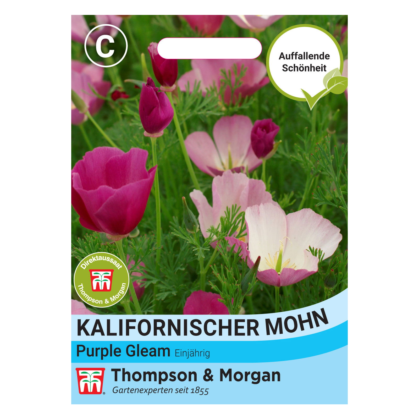 Thompson & Morgen Kalifornischer Mohn 