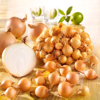 Sperli Steckzwiebeln 'Senshyu Yellow®', gelb, 250 g Sperli Steckzwiebeln 'Senshyu Yellow®', gelb, 250 g