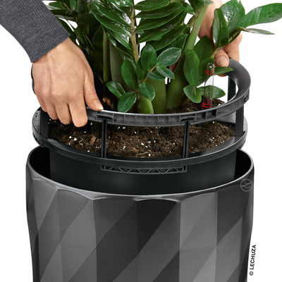 Lechuza 'Diamante Premium 40', anthrazit, ca. Ø 40 x H 75 cm