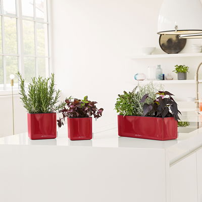 Lechuza 'Cube Glossy 14', scarlet-rot, ca. 14 x 14 x H 13,5 cm