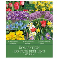 Kölles Beste Kollektion '100 Tage Frühling', 100 Blumenzwiebeln Kölles Beste Kollektion '100 Tage Frühling', 100 Blumenzwiebeln