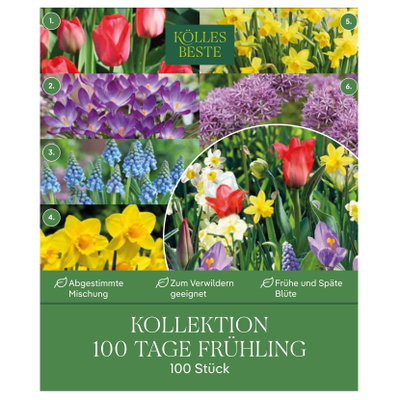 Kölles Beste Kollektion '100 Tage Frühling', 100 Blumenzwiebeln Kölles Beste Kollektion '100 Tage Frühling', 100 Blumenzwiebeln