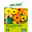 Kölle's Beste Blumensamen Ringelblumen (Calendula) Prachtmischung