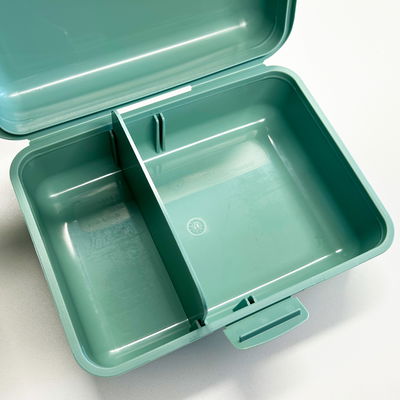 Dino Snack®, Sisko, Goldtüpfelfarn, Topf-Ø 14 cm, mit Brotdose Dino Snack®, Sisko, Goldtüpfelfarn, Topf-Ø 14 cm, mit Brotdose