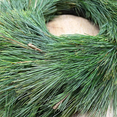 Seidenkiefer-Kranz, halbrund gebunden, ca. 30 cm Ø Seidenkiefer-Kranz, halbrund gebunden, ca. 30 cm Ø