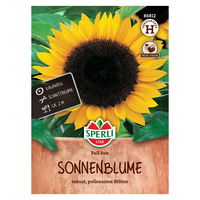 Saatgut Sonnenblume 'Full Sun'