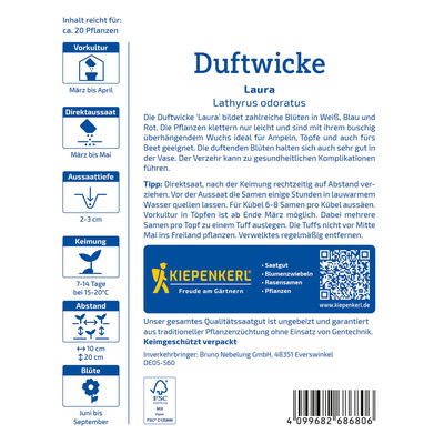 Blumensamen, Duftwicke 'Laura', lila & rot