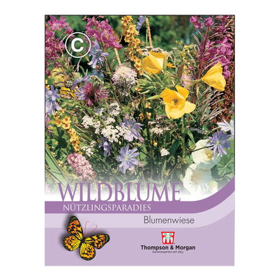 Wildblume Wiesenland / 30 Wildblumen, einjährig, pflegeleicht