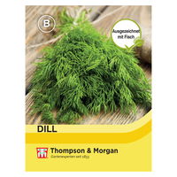 Thompson & Morgan Saatgut Dill