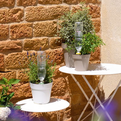 Hozelock Aquasolo Universal Bewässerungskegel, gelb, 4 Kegel