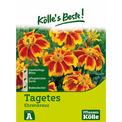 Kölles Beste Blumensamen Studentenblume 