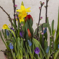 Workshop Erlebnis-Shopping 