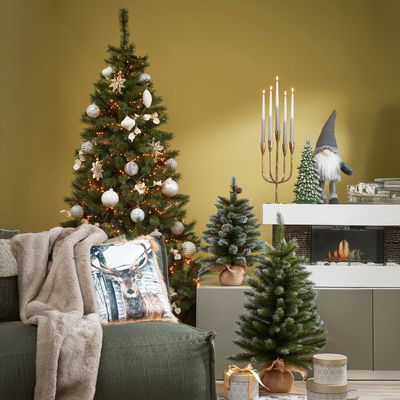 Triumph Tree Kunst-Tanne 'Forest Frosted Slim', Höhe ca. 185 cm Triumph Tree Kunst-Tanne 'Forest Frosted Slim', Höhe ca. 185 cm