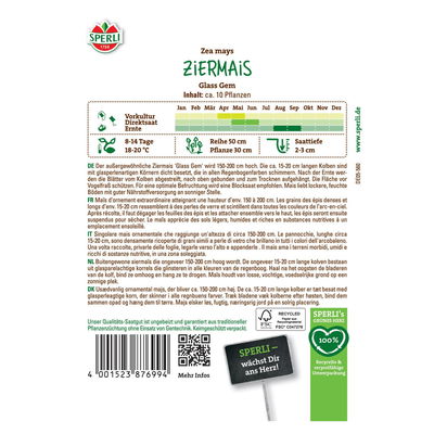 Saatgut Ziermais 'Glass Gem' Saatgut Ziermais 'Glass Gem'