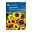 Blumensamen, Sonnenblume 'Fantasia Mix', gelb