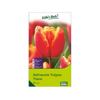 gefranste Tulpen 'Tiano', rot, gelb, Größe 11/12, 10 Blumenzwiebeln